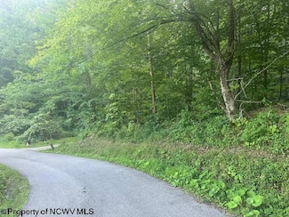TBD Creed Isner, Kerens, WV 26276