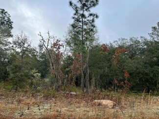 TBD Marion Ave Unit 7, Interlachen, FL 32148