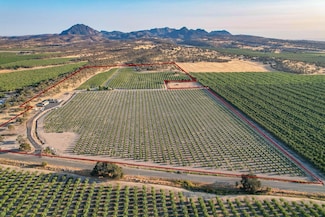 10266 N Butte Rd, Live Oak, CA 95953