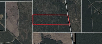 0 Bragg Rd Unit 93794860, Kountze, TX 77625