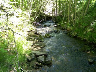 285 Henry Creek Rd, Plains, MT 59859