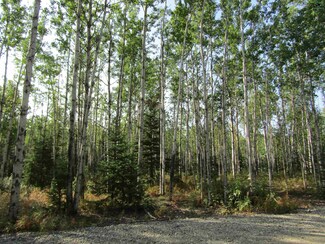 L8BG Poquette St, Delta Junction, AK 99737