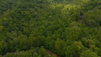 TBD Cove Gap Rd Unit 1, Moravian Falls, NC 28654