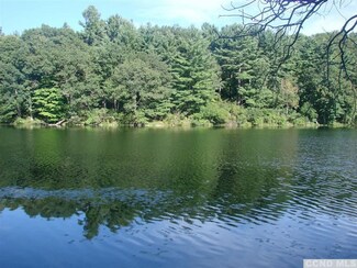 0 Snyder Pond Rd Unit 105535, Copake, NY 12516