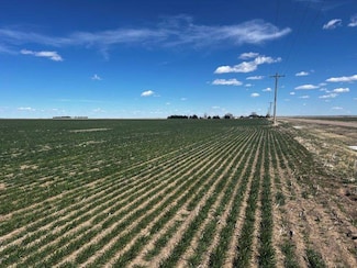 000 Road R, Wano Township, KS 67756