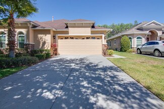 20932 Amanda Oak Ct, Land O Lakes, FL 34638