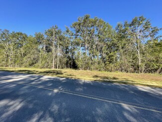 Lot 1 Quail Ridge Rd, Defuniak Springs, FL 32433