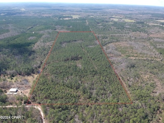 60 acres Jw Miller Rd, Bonifay, FL 32425