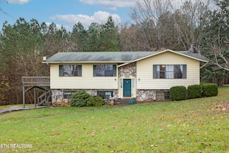 254 Twin View Dr, Spring City, TN 37381