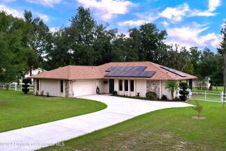 311 N Brighton Rd, Lecanto, FL 34461