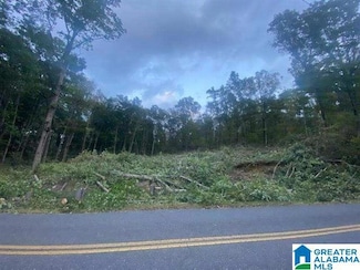 2005 Rock Mountain Dr Unit 5, McCalla, AL 35111