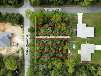 367 N Dugan Ave, Inverness Highlands North, FL 34453