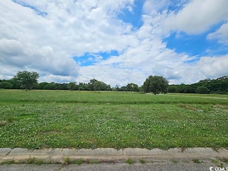 TBD Cravens St Unit Lot 255, Georgetown, SC 29440