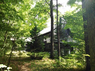 5960 Shadyshore Ln, Elmira, MI 49730