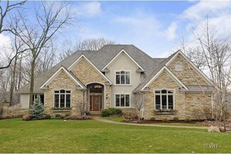 21616 N Tiffany Ct, Kildeer, IL 60047