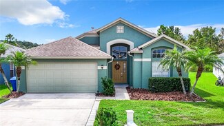 29544 Ox Eye Ct, Wesley Chapel, FL 33543
