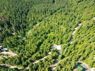 3176 Crystal Peak Rd, Fernwood, ID 83830