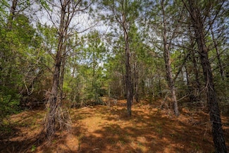 0 Texas 87, Newton, TX 75966