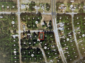 396 W Macon Ln, Pine Ridge, FL 34434