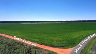 Lot 7 MacK Pond Rd, Atmore, AL 36502
