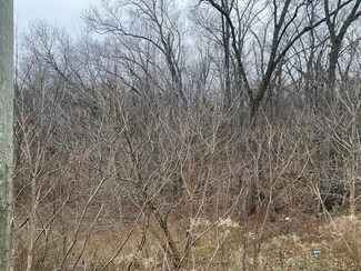 0 Doster Rd Unit 24063277, Plainwell, MI 49080