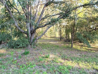 1329 N Mediterranean Way, Citrus Hills, FL 34453