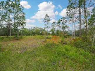2109 Everlast Terrace, Sebring, FL 33875