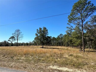 TBA SW Viola Ct, Dunnellon, FL 34431