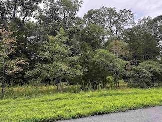 Lot 65 Cobalt Bay Dr, Shirley, AR 72153