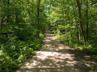 818 Holy Island Rd, Sarona, WI 54870