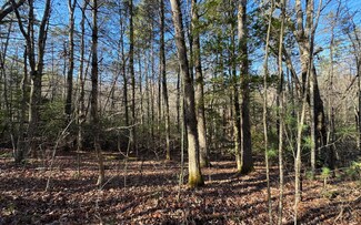 15&16 Mill Creek Acres, Blue Ridge, GA 30513