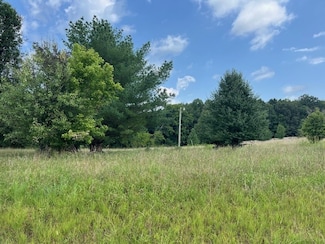 225 Running Meadows Rd, Portland, TN 37148
