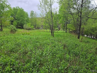 0 Mead Hollow Rd Unit S1608157, Bolivar, NY 14715