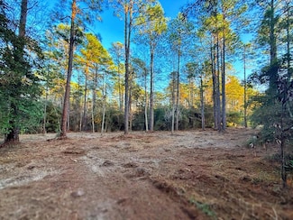 PID# 34570 Sago Ct, Brookeland, TX 75931