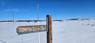 Tbd Narrow Gauge Way Lot Unit WP001, Avondale, CO 81022