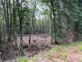 00 Fowl River Rd, Theodore, AL 36582