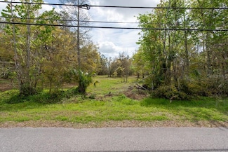 331 Appaloosa Rd, East Lake, FL 34688
