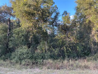 33451 Solway Dr, Webster, FL 33597