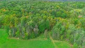 1447 Boies Rd, East Aurora, NY 14052