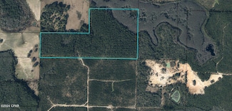 TBD Douglas Ferry Rd, Vernon, FL 32462