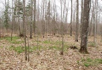 76424 Weinberger Rd, Butternut, WI 54514