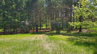 XXXXX Nelson Rd, Amador Township, MN 55056