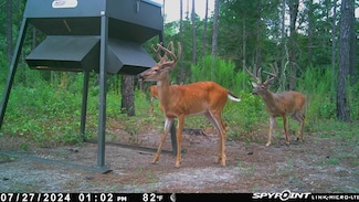 1038 McRae Milan Rd, McRae, GA 31055