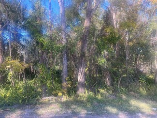 0 14th St Unit MFRS5119054, Orange City, FL 32763