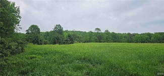 0 Gospel Hill Rd, Brisben, NY 13830