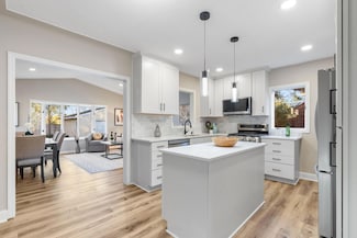 4049 Quentin Ave, Saint Louis Park, MN 55416
