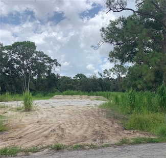 18601 Telegraph Creek Ln, Alva, FL 33920