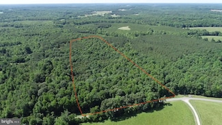 TBD Selma Rd Tract 2, Jetersville, VA 23083