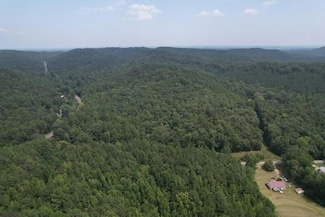 0 Turtle Hole Rd, Townley, AL 35587