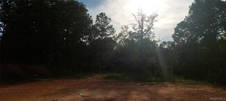 0 County Road 39 Unit 558411, Deatsville, AL 36022